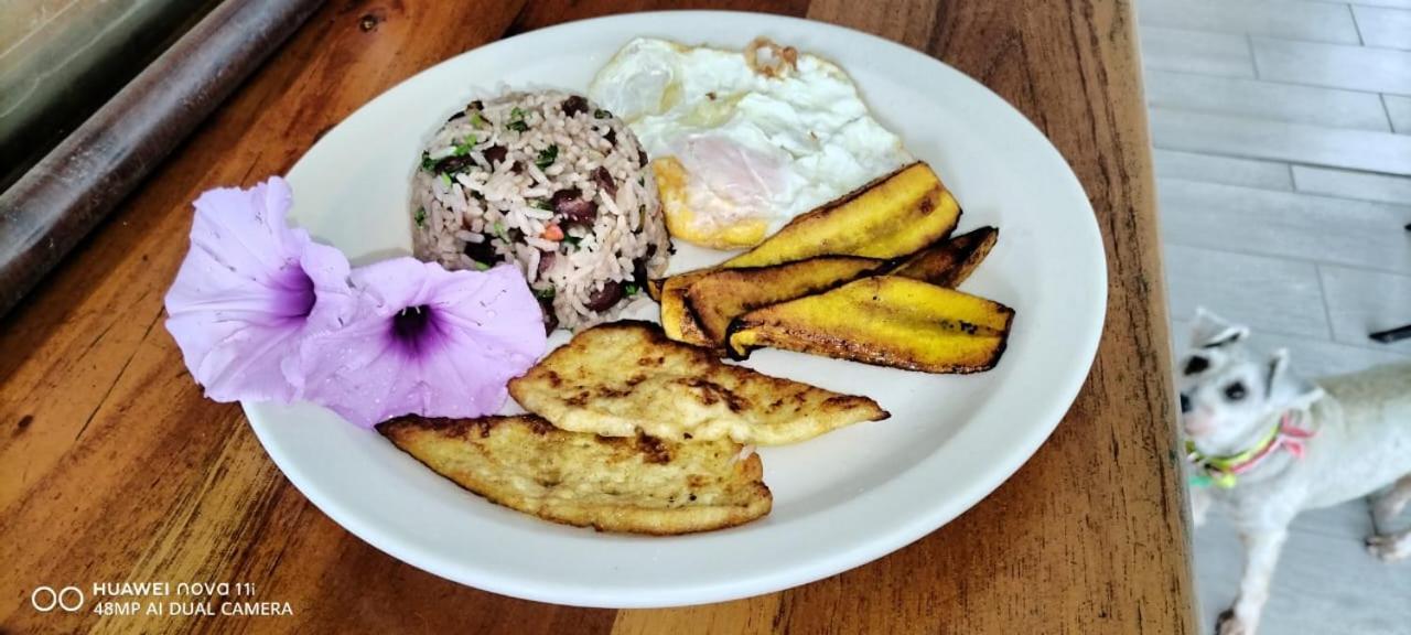 Hotel Liah'S Tortuguero Dış mekan fotoğraf